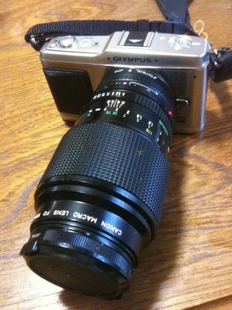 Olympus E-P1 + Canon FD 100mm F4.0 Macro