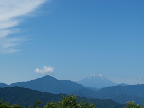 [富士山]
